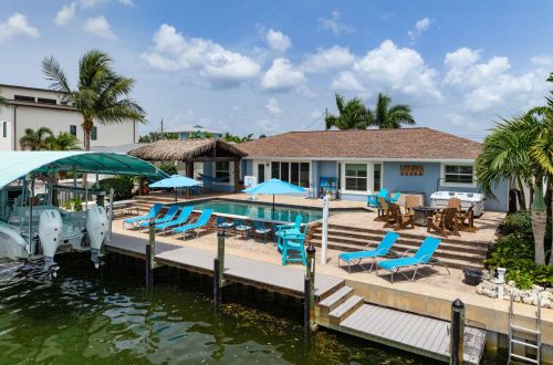 Royal Palm Paradise