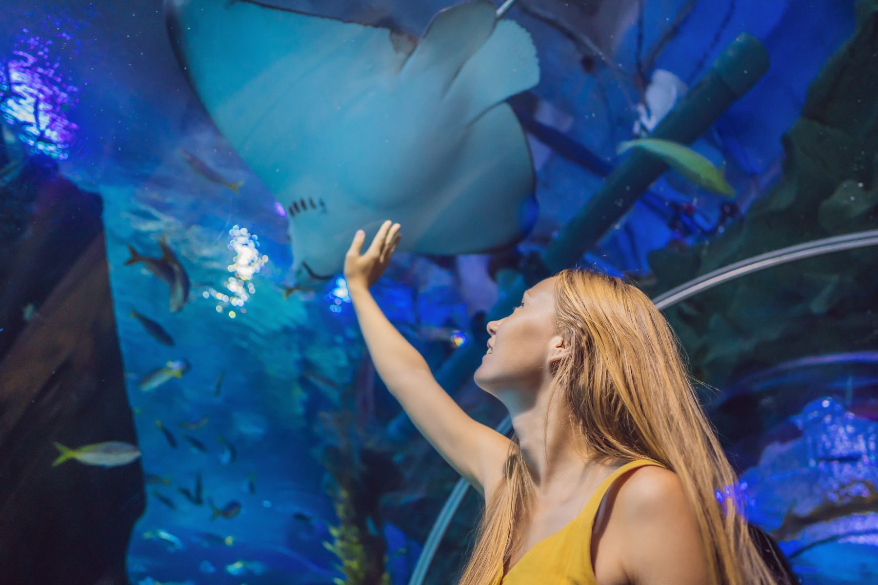 Woman in yellow top reaches toward the aquarium glass as a large manta ray swims overhead in blue-lit water behind her.